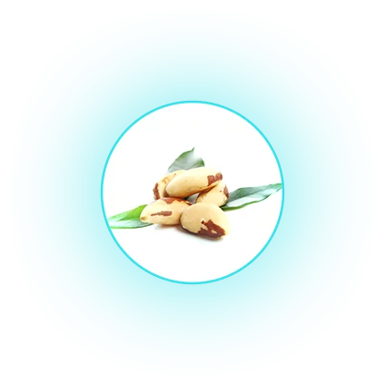Slenium.png Slenium.png